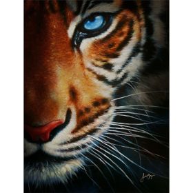 Tiger Gallery Wrap 16