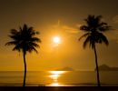 Two Palm Trees Sunset Tropical Beach 48x60