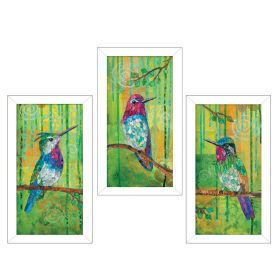 "Three Hummingbirds" Collection By Lisa Morales, Printed Wall Art, Ready To Hang Framed Poster, White Frame